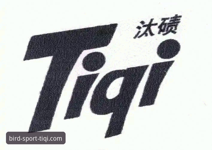 TIQI正版平台下载故障排查与解决教程：突破下载障碍的实用指南